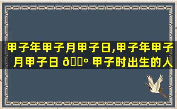 甲子年甲子月甲子日,甲子年甲子月甲子日 🌺 甲子时出生的人 🐕